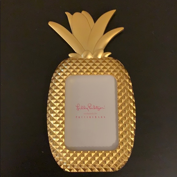 Lilly Pulitzer for pottery barn pineapple frame